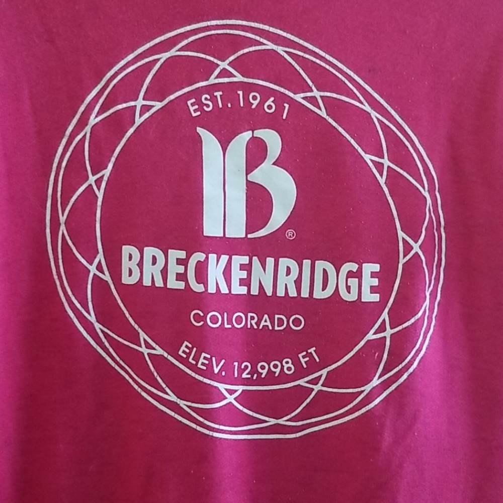 Breckenridge Tshirt Hoodie